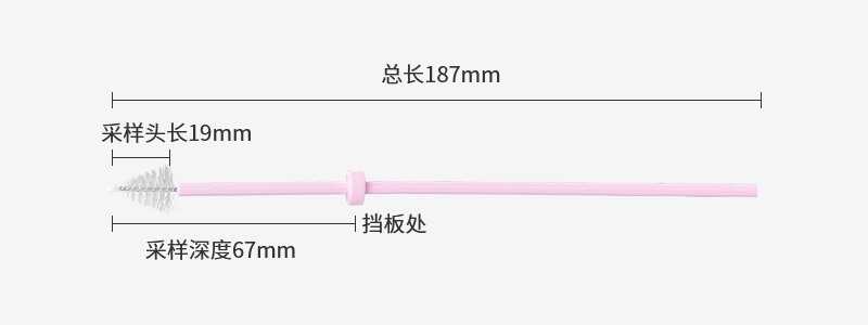 187mm 自取样宫颈刷