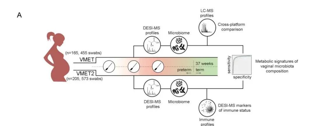 使用DESI-MS代谢谱能可靠的预测宫颈阴道液微生物组组成.jpg