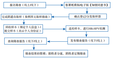 阴道自取样筛查的流程图.png