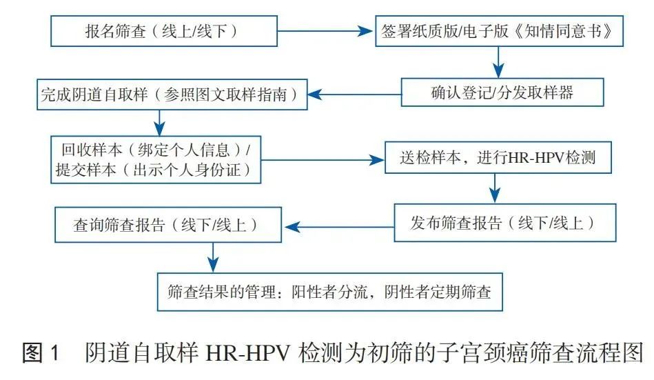 阴道自取样筛查的相关工具和方法流程.jpg
