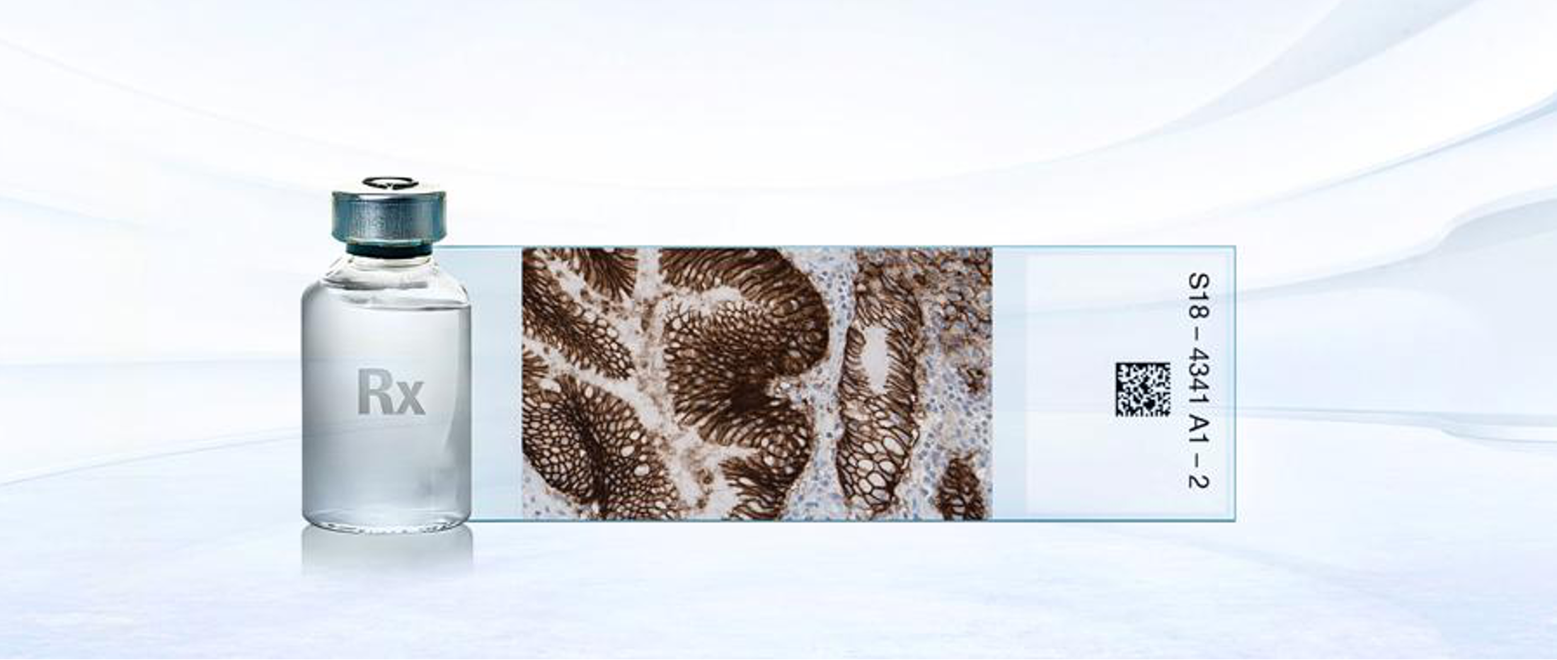 罗氏诊断VENTANA CLDN18.png