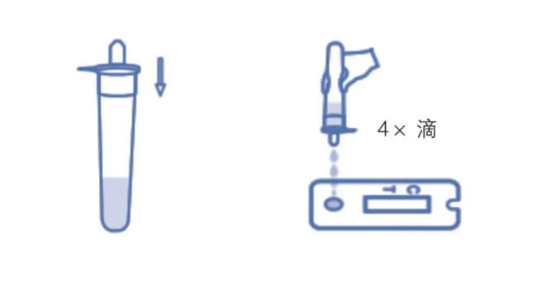抗原检测步骤14.jpg
